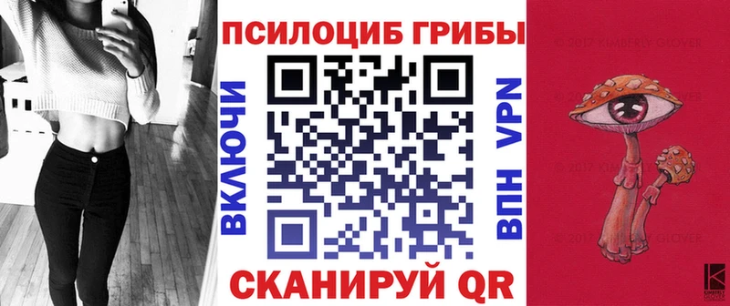закладки  Исилькуль  Псилоцибиновые грибы Psilocybine cubensis 
